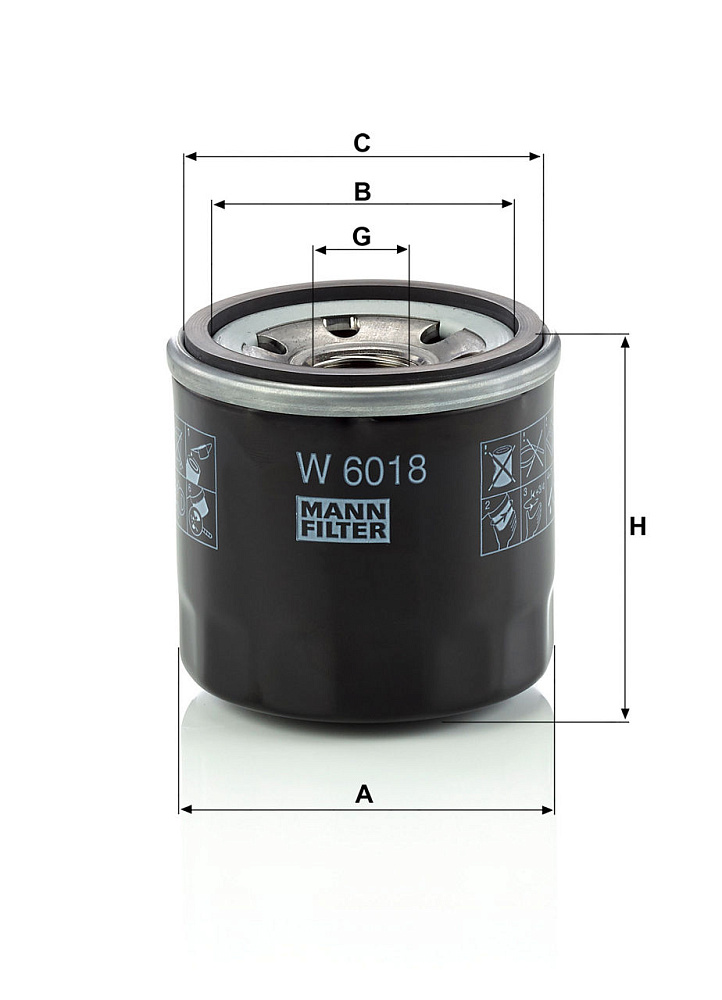 W6018