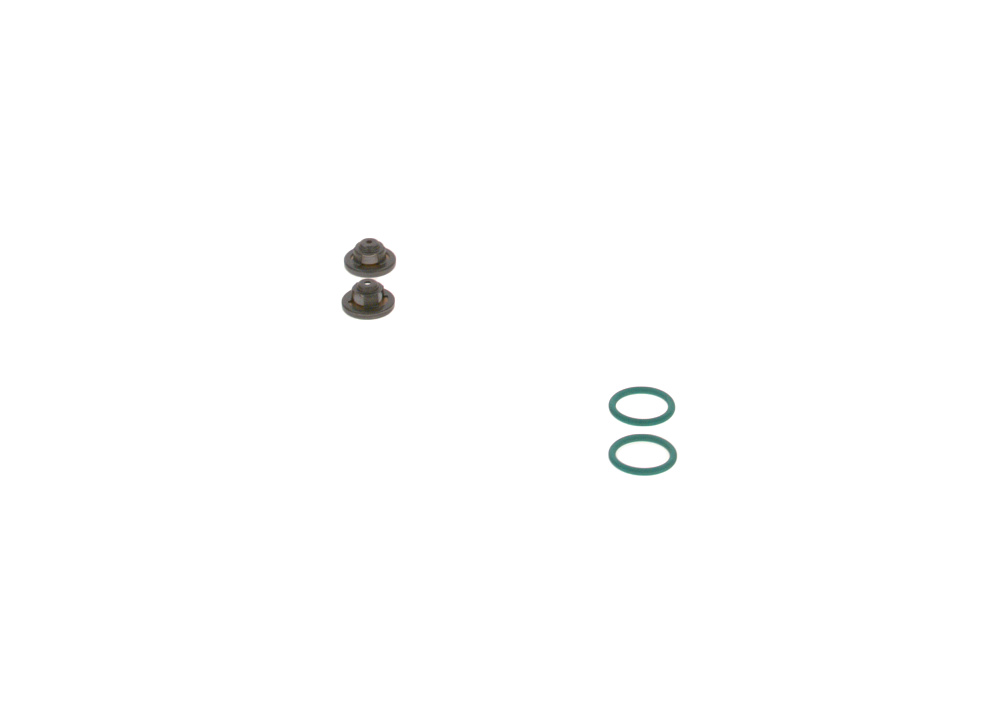 2447010044