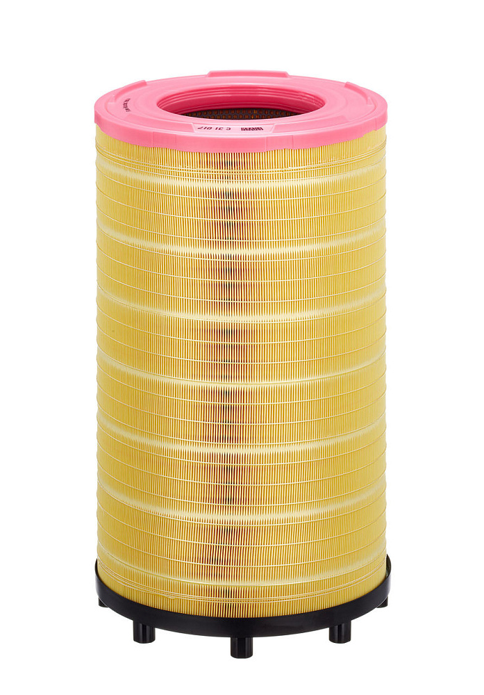 C31017