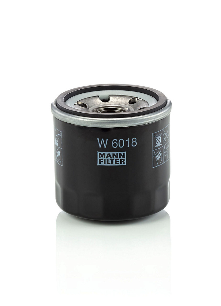W6018