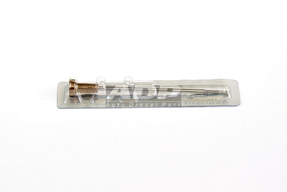 GPF00ZC01305