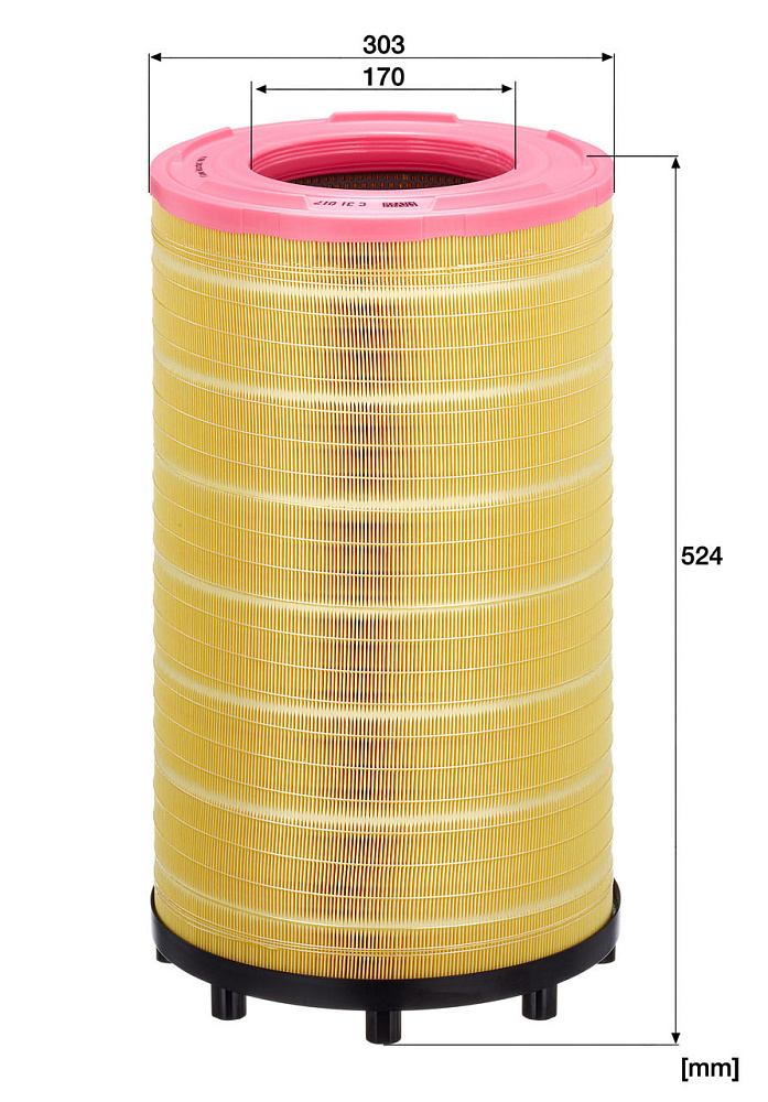 C31017