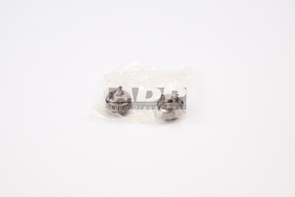 WF2430136202