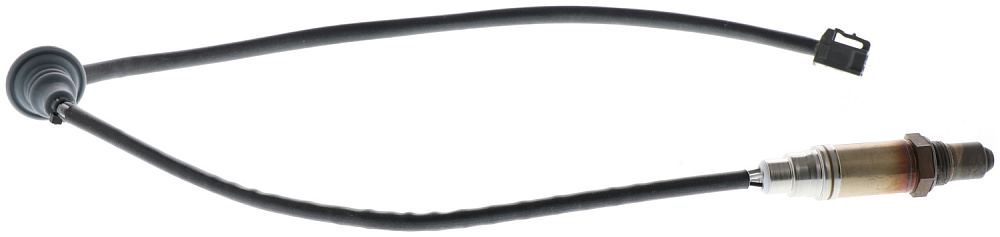 F00HL00388