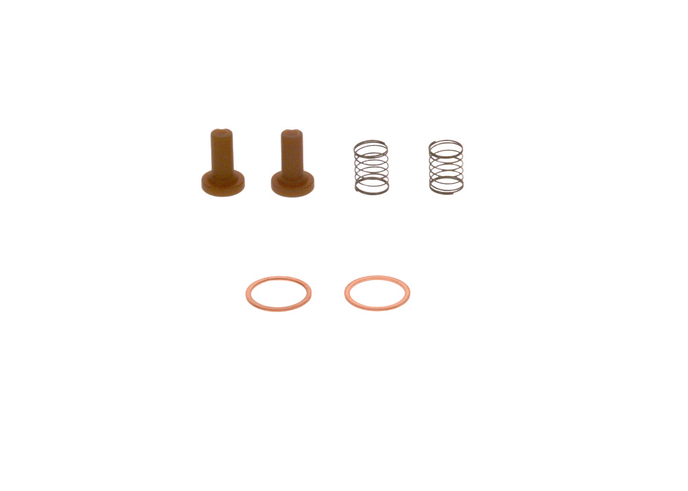 2447010011